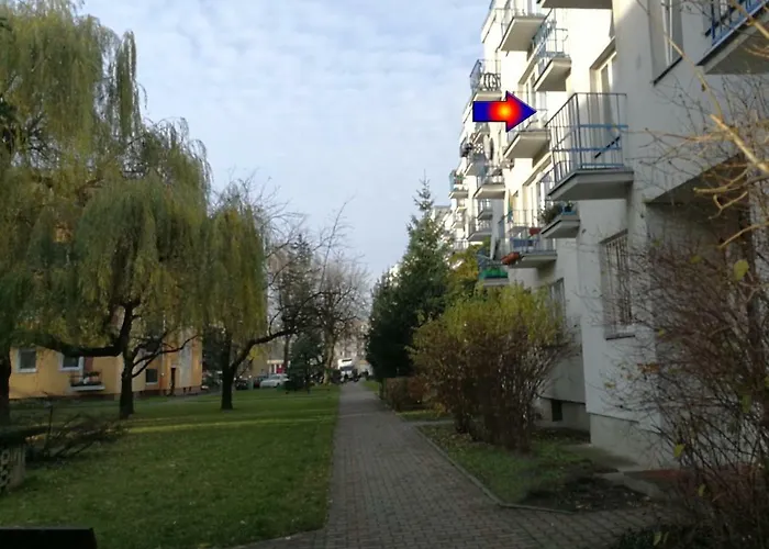 Velvet Trojdena Warsaw